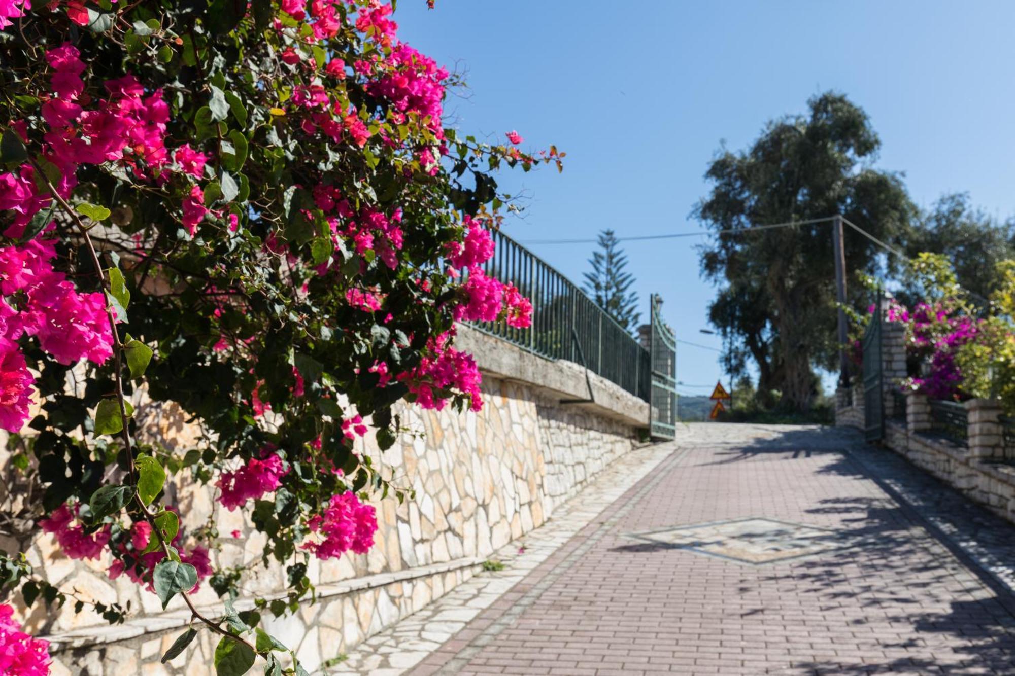Villa Anthoussa In Palaiokastritsa Exterior foto